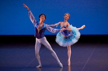 �p��ISTD�F�� �o���G�E�X�N�[�� The Ballet Garden